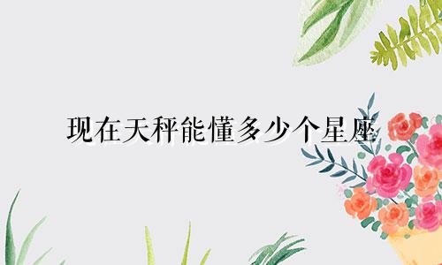 现在天秤能懂多少个星座