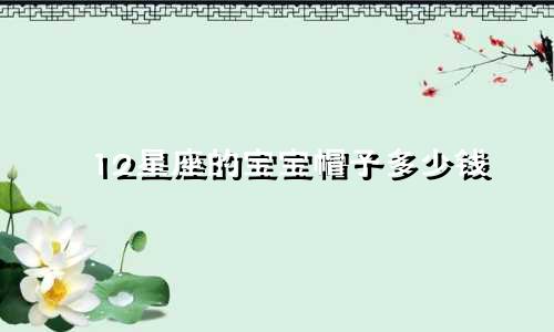 12星座的宝宝帽子多少钱