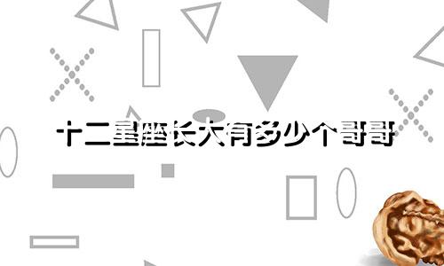 十二星座长大有多少个哥哥