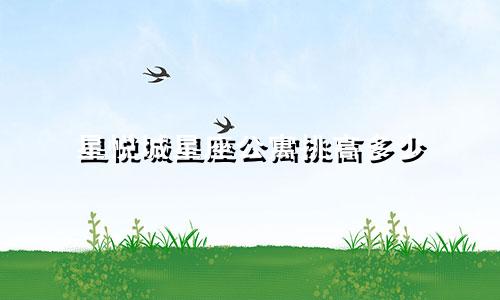 星悦城星座公寓挑高多少