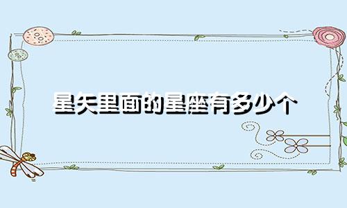 星矢里面的星座有多少个