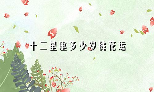十二星座多少岁桃花运