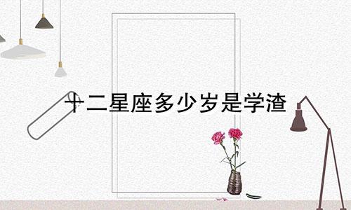 十二星座多少岁是学渣