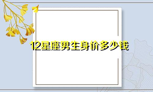 12星座男生身价多少钱