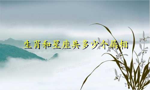生肖和星座共多少个属相