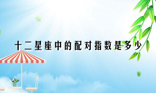 十二星座中的配对指数是多少