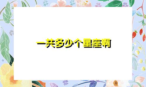 一共多少个星座啊