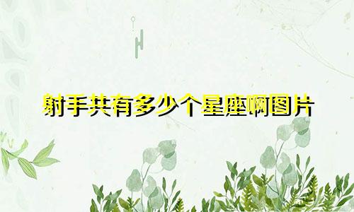射手共有多少个星座啊图片