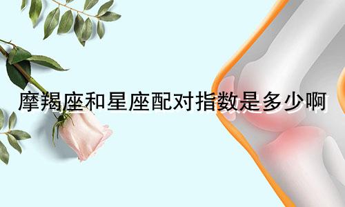 摩羯座和星座配对指数是多少啊