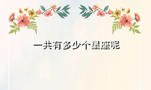 一共有多少个星座呢