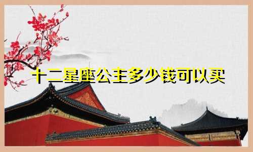 十二星座公主多少钱可以买