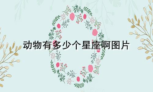 动物有多少个星座啊图片