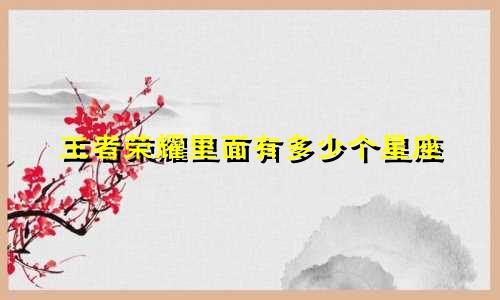 王者荣耀里面有多少个星座