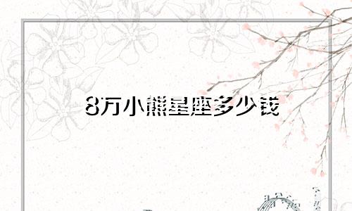 8万小熊星座多少钱