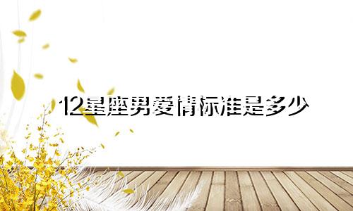 12星座男爱情标准是多少