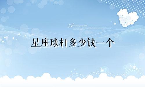星座球杆多少钱一个
