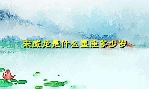 宋威龙是什么星座多少岁
