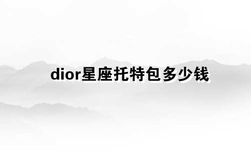 dior星座托特包多少钱