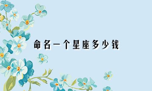 命名一个星座多少钱
