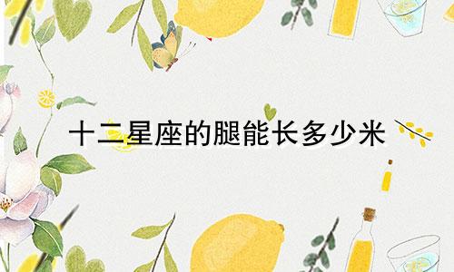 十二星座的腿能长多少米