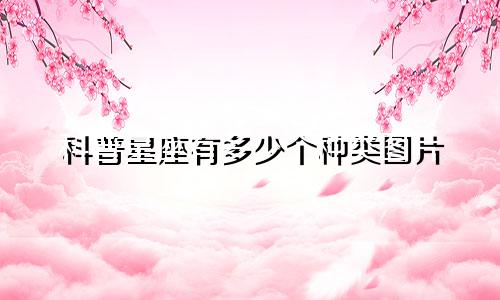 科普星座有多少个种类图片