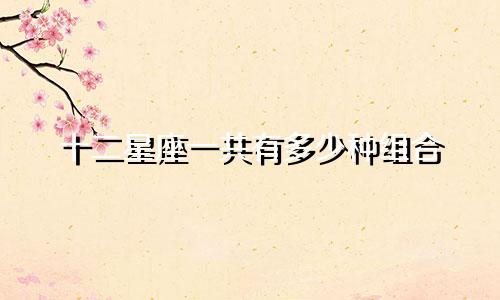 十二星座一共有多少种组合