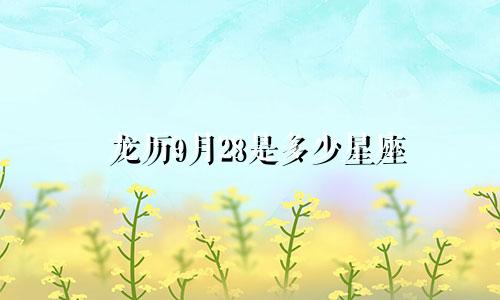 龙历9月28是多少星座