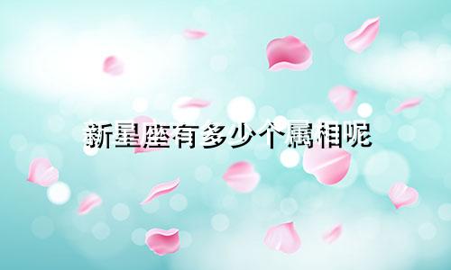 新星座有多少个属相呢