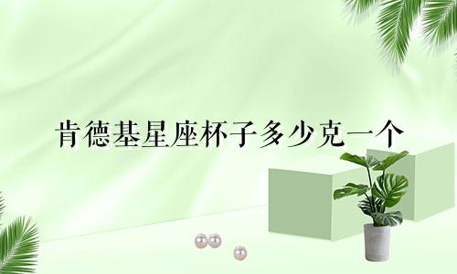 肯德基星座杯子多少克一个
