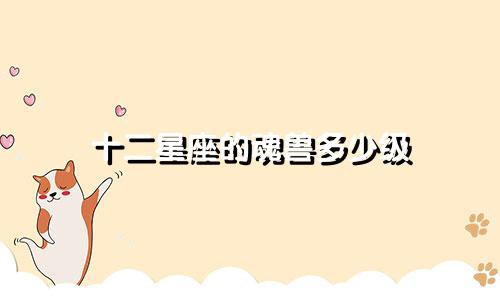 十二星座的魂兽多少级
