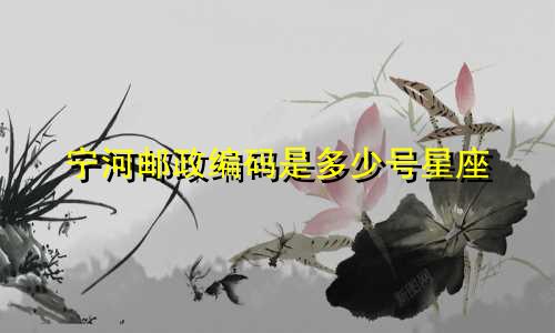 宁河邮政编码是多少号星座