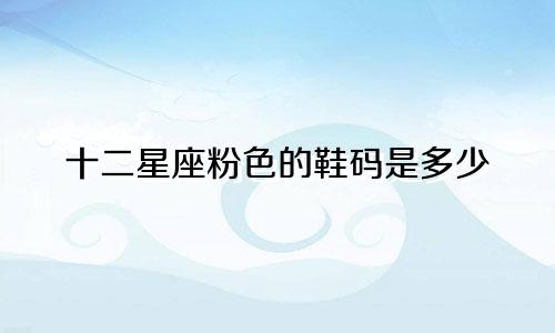 十二星座粉色的鞋码是多少