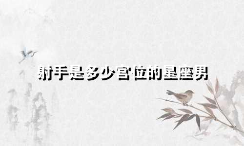 射手是多少宫位的星座男