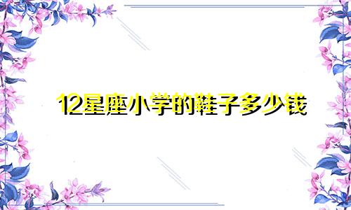 12星座小学的鞋子多少钱