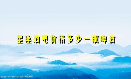 星座酒吧价格多少一瓶啤酒