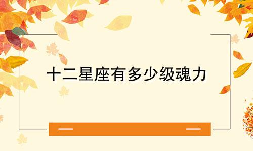 十二星座有多少级魂力
