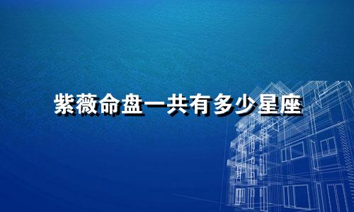 紫薇命盘一共有多少星座