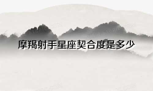 摩羯射手星座契合度是多少
