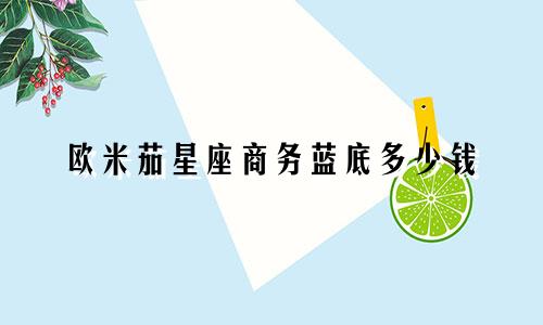 欧米茄星座商务蓝底多少钱