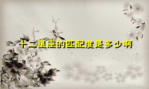 十二星座的匹配度是多少啊