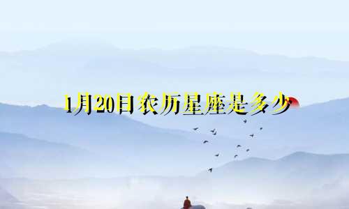 1月20日农历星座是多少
