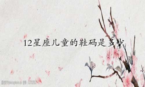 12星座儿童的鞋码是多少