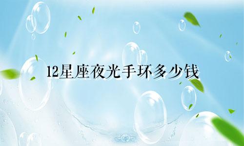 12星座夜光手环多少钱