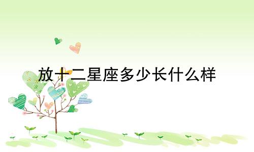 放十二星座多少长什么样