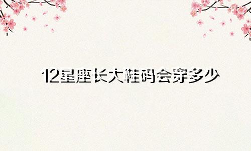 12星座长大鞋码会穿多少