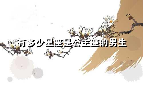 有多少星座是公主座的男生