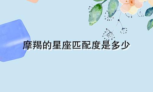 摩羯的星座匹配度是多少