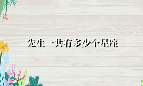 先生一共有多少个星座