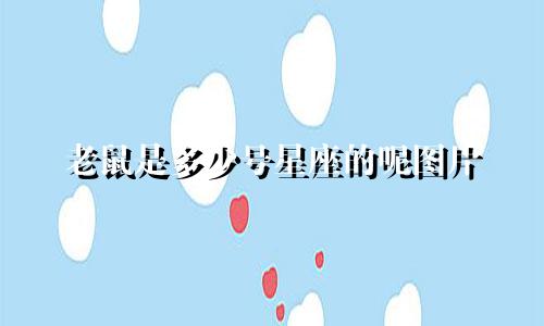 老鼠是多少号星座的呢图片