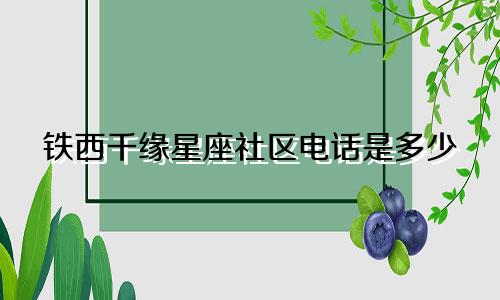 铁西千缘星座社区电话是多少